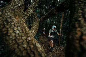 BIB: 
                            <button type="button" onclick="openModal(25698631)" class="btn btn-primary btn-sm float-right btn-popup" data-toggle="modal" data-target=".modal-high-quality">
                        <i class="fas fa-shopping-cart"></i> Add to Cart
                    </button>
                                            <button type="button" onclick="isThisMe(25698631, true)" class="btn btn-success btn-sm float-right btn-popup btn-isme hidden" data-toggle="tooltip" data-placement="bottom" title="นี่คือรูปของคุณใช่ไหม คลิกที่นี่เพื่อเอาเข้าอัลบั้ม">
                        <i class="fas fa-plus"></i> Add to album
                    </button>
                    <button type="button" onclick="isThisMe(25698631, false)" class="btn btn-warning btn-sm float-right btn-popup btn-isnotme hidden">
                        <i class="fas fa-ban"></i> Remove from album
                    </button>